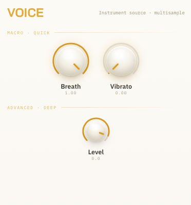 VOICE — แผงปุ่มโมดูล — ชั้น Macro และ Advanced